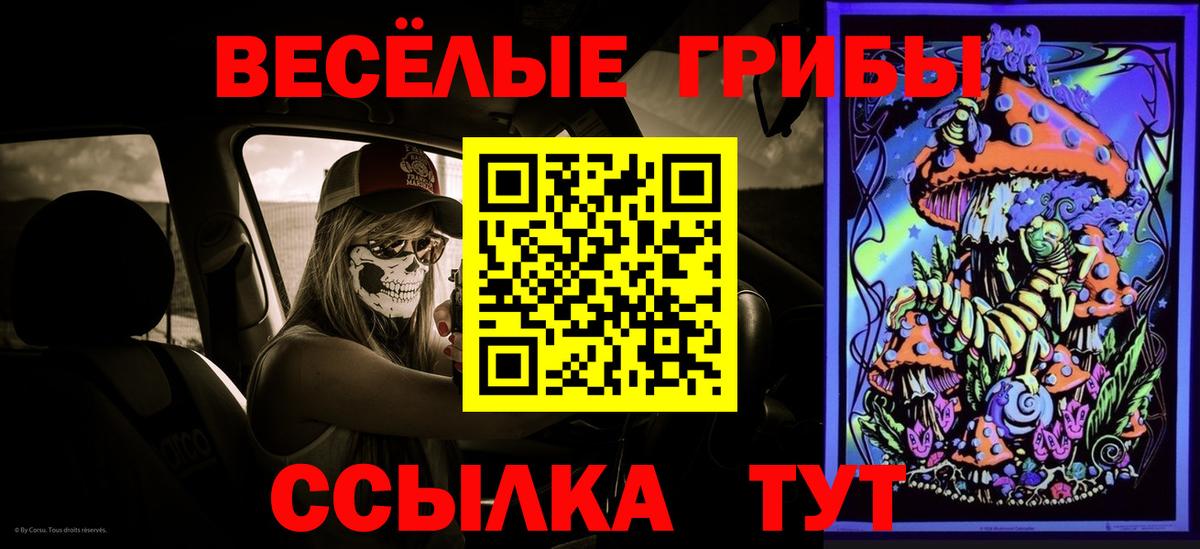 Псилоцибиновые грибы Cubensis  Вход с VPN  Ейск 